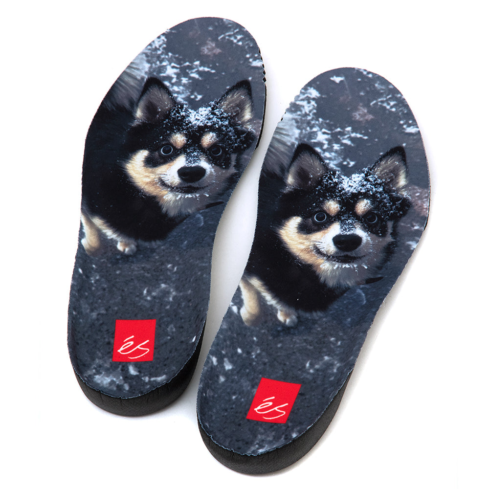 TJ Rogers (Black / Blue / White)