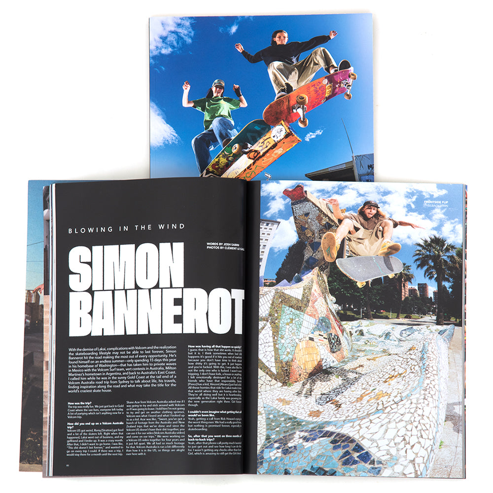 Volume 3.3 Issue #11 2025