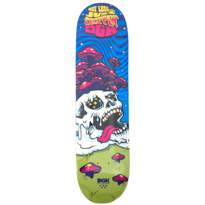 Not Lost Deck (8.25)