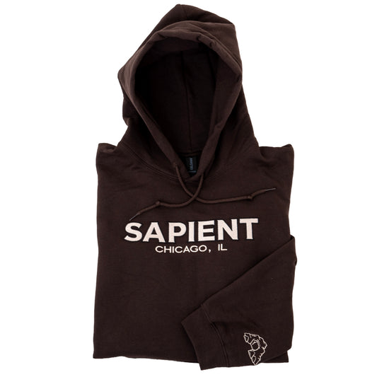 Sapient Embroidered Hooded Sweatshirt (Brown)