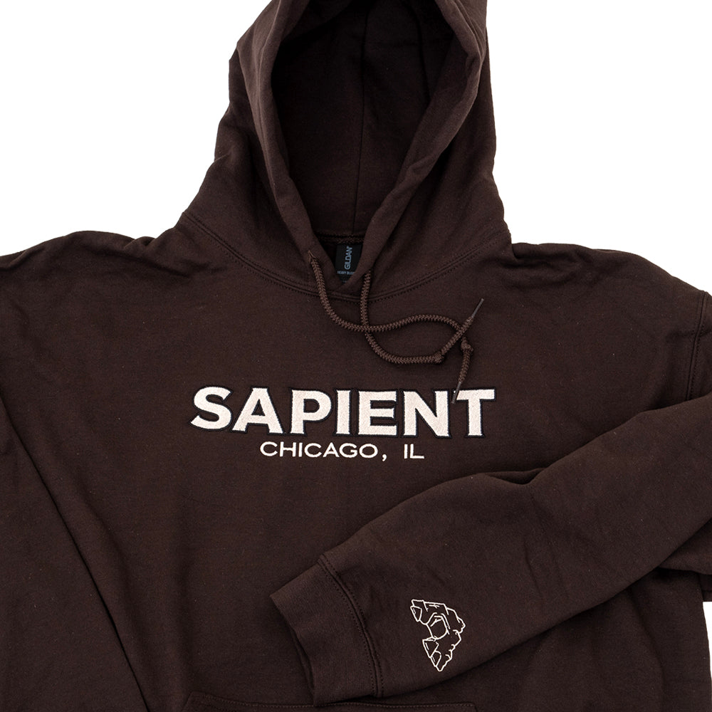 Sapient Embroidered Hooded Sweatshirt (Brown)